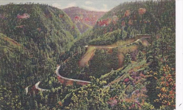 Arizona Oak Creek Canyon Switchbacks Curteich