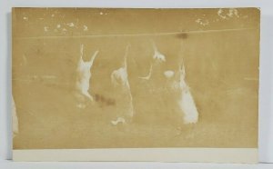 Clarion IA Trapping Rabbit Hastings Mosley Viets Family to Granby Postcard N17