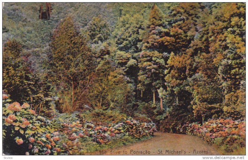 The Drive To Porvacao, St. Michael's, Azores, Portugal, 1900-1910s