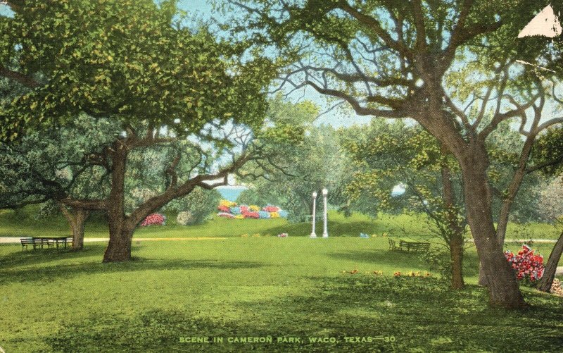 Vintage Postcard 1910's Scene in Cameron Natural Park Waco Texas Trees Nature TX 