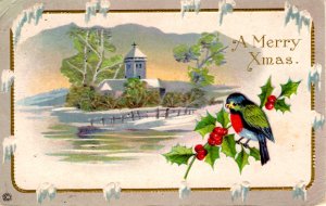 A Merry Christmas - Snow Covered Church - Birds and Holly - Embossed - in 1908