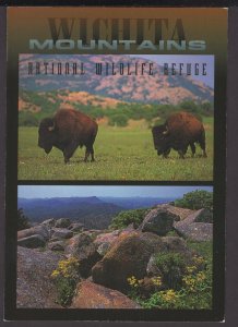 Oklahoma near Lawton - Wichita Mountains National Wildlife Refuge - Cont'l