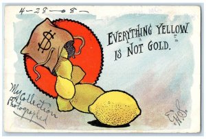 1908 Lemon Everything Yellow Is Not Gold St. Joseph Missouri MO Antique Postcard