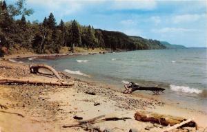 BEAR LAKE MICHIGAN DRIFTWOOD ON THE BEACH~GREETINGS FROM POSTCARD 1958 POSTMARK