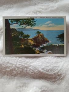 Antique Postcard, Midway Point, 17 Mile Drive, Monterey Peninsula, California