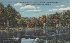 Postcard Birch Reflections Fish Creek State Camping Grounds Saranac Lakes  NY