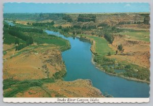 State View~Air View Snake River Canyon Twin Falls Idaho~Continental Postcard