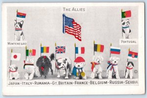 c1910's The Allies WWI Dogs Montenegro Portugal Flags Unposted Antique Postcard