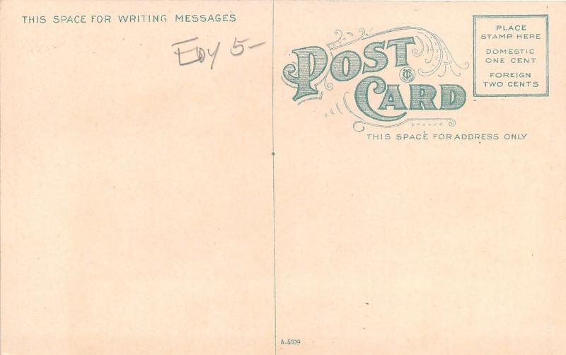 La Crosse Wisconsin~Stoddard Hotel~Cobble Stone Street~c1910 Postcard
