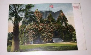 VINTAGE UNUSED POSTCARD ROSES ALL YEAR ROUND  CAL  PENNY PC