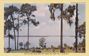 Florida Mount Dora View Of Lake Dora From Castle Dexter Press