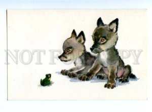 153336 ZOO CIRCUS Wolf FROG Old Russian PC