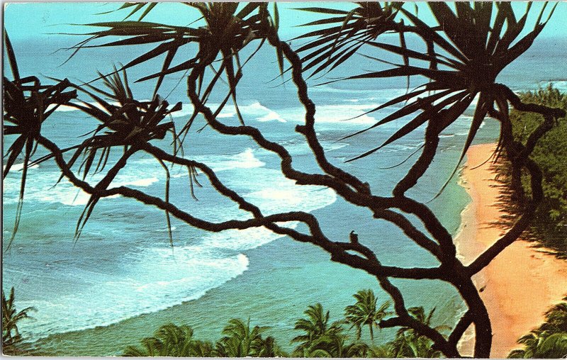 Lauhala (Pandanus Tree Ke'e Beach Kaui Hawaii Vintage Standard View Postcard