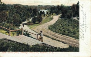 USA Seneca Park Showing Trout Lake Rochester New York 04.81