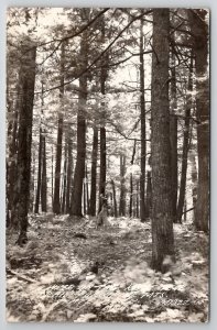 Michigan RPPC Walker On Trail Route Near Porcupine Mts Park Photo Postcard B31