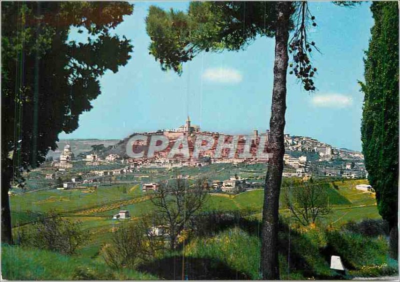 Postcard Modern Todi South Panorama