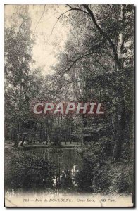 Postcard Old Paris Bois de Boulogne