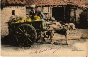 PC CPA DOGS, LAITIÉRE FLAMANDE, Vintage Postcard (b17255)