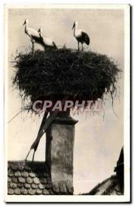 Old Postcard Alsace Nest Cilgognes