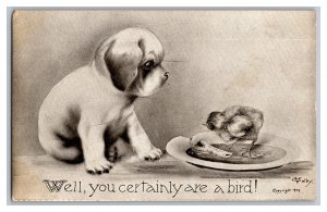 ©1909 Vintage Postcard Dog Puppy Well You Certainly Are A Bird