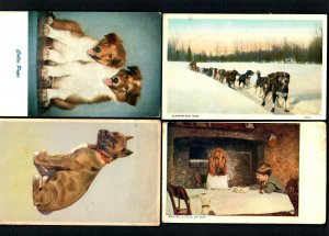 #731 Dogs Boxer A. Manizer, Collie Pups, Alaskan Dog Team, Making A fool of Him