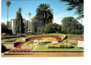 Floral Clock, Albert Park, University Buildings, Auckland , New Zealand,