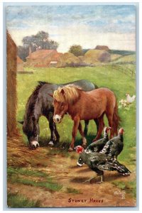 Oilette Tuck Postcard Sydney Hayes Field Horses And Turkey Good Friends c1910's