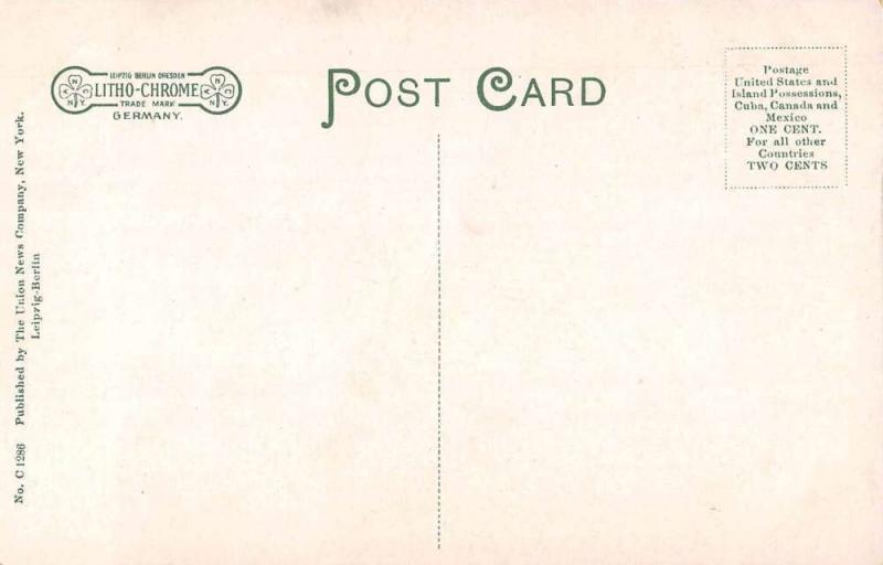 Long Branch New Jersey Ocean Avenue Antique Postcard J60863