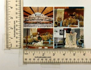 Rotorua New Zealand Agrodome Wool Sheep Shearing Show Postcard 