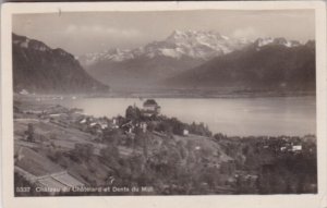 Switzerland Chateau de Chatelard et Dents du Midi Real Photo