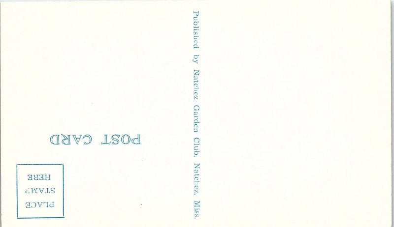 Postcard RESTAURANT SCENE Natchez Mississippi MS AI5621