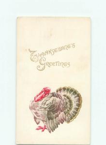 Divided-Back THANKSGIVING SCENE Great Postcard AA0609