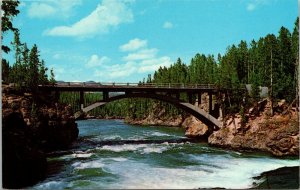 Vtg Wyoming WY Chittenden Memorial Bridge Yellowstone National Park Postcard