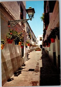 Postcard Spain Malaga typical street with flowers