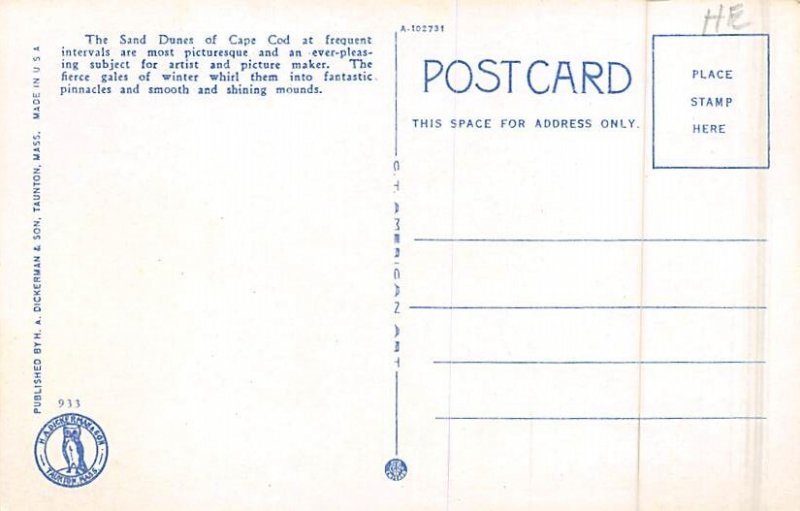 Sand Dunes Cape Cod, Massachusetts MA Postcard