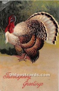 Artist PFB Thanksgiving Greetings Postcard