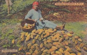 Jamaica Native Woman Breaking Cocooa 1997