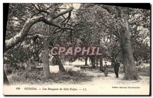 Old Postcard Oudjda Les Bosquets Sidi Yakia