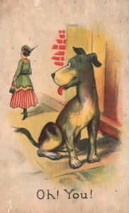 Vintage Postcard 1908 Dog Staring At The Woman In Dress Comic Card