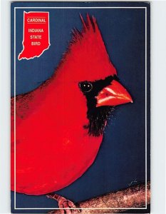 Postcard Cardinal, Indiana State Bird, Indiana