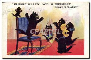 VINTAGE POSTCARD Cat Cats Kitten Music