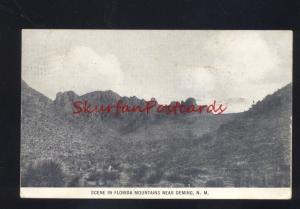 DEMING NEW MEXICO FORIDA MOUNTAINS SCENE ANTIQUE VINTAGE POSTCARD