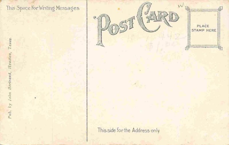 Orange Growing in Texas 1910s postcard