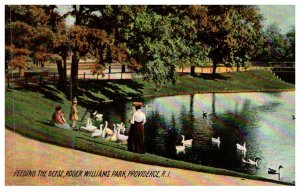 Rhode Island Providence , Roger Williams Park,  feeding the Geese