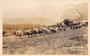 Wolf Wyoming Eatons Ranch Horse Riding Real Photo Postcard AA69677