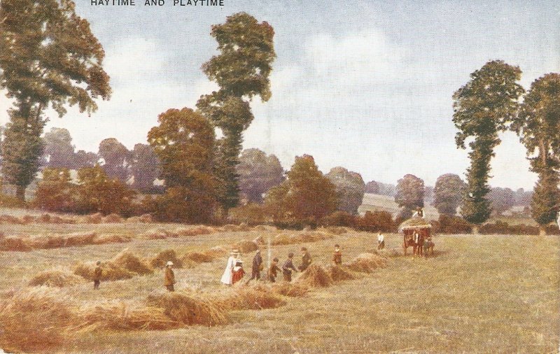 Scene. Horse Cart. Haytime and Playtime  Old vintage English art PC