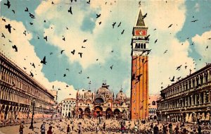 Venezia, Piazza S Marco Pigeon 1975 