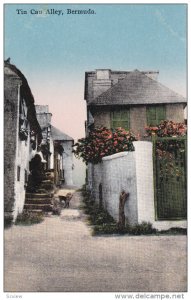 Tin Can Alley, BERMUDA, 1900-1910s