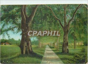 Old Postcard Under Grona Linden