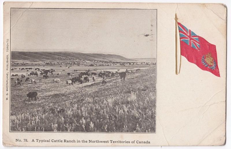 Canada; A Typical Cattle Ranch in The Northwest Territories PPC, 1907 Winnipeg 